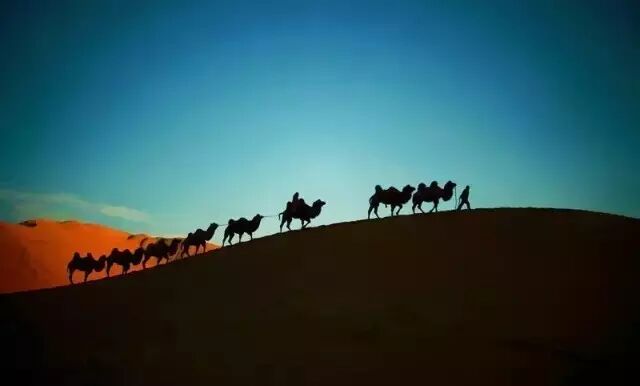 夜听：停止干这件事，你的命运马上变好。真的吗？