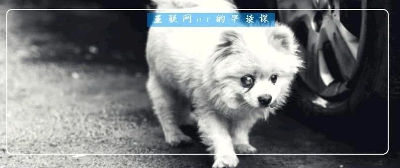 吃播凉了，“大胃王宠物”还在被逼着捞钱