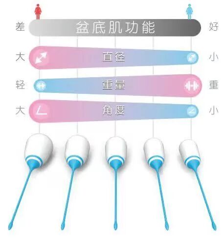 盆地康复仪器怎么用产后康复｜阴道哑铃使用指南_https://www.jmylbn.com_新闻资讯_第3张