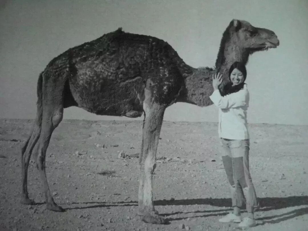 撒哈拉的故事电子阅读_撒哈拉的故事在线阅读_撒哈拉故事免费阅读