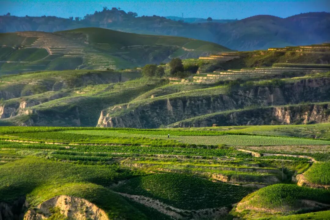 榆林强力推进黄土高原生态文明示范区建设_城市金融网