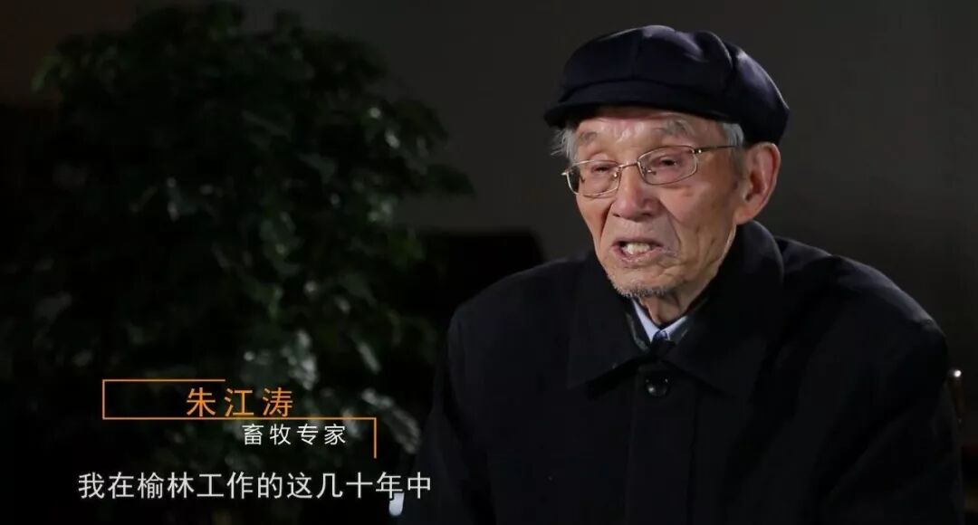 建设榆林的他乡人畜牧专家朱江涛一生大爱在塞北