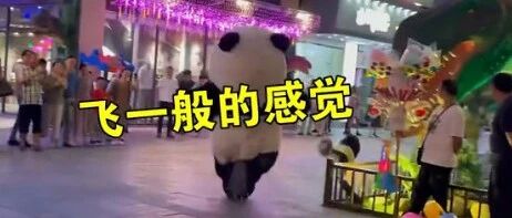 飞一般的感觉！熊猫人偶被狗子拽得狂奔…