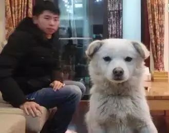 流浪狗妈妈产子,流浪狗爸爸主动向人类求助…-微信头条网 流浪狗妈妈产子,流浪狗爸爸主动向人类求助…
