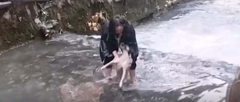 大冷天，她赤脚下河救出差点被冻僵的狗狗…
