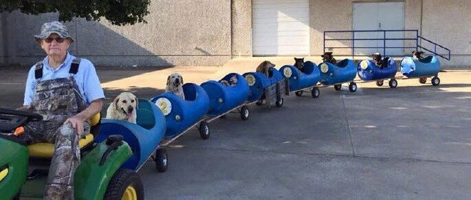 狗子太多，铲屎官快hold不住了！~