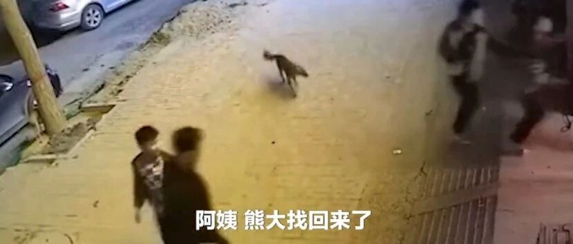 瘸腿狗狗走失3天后找回家，主人一家欢呼雀跃~