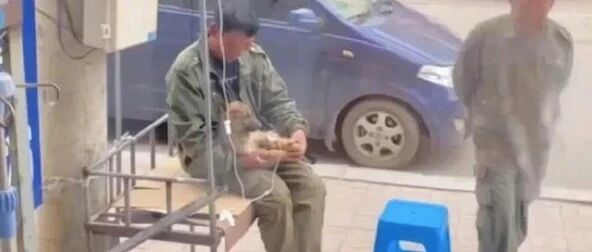 狗狗生病输液，他全程相陪…