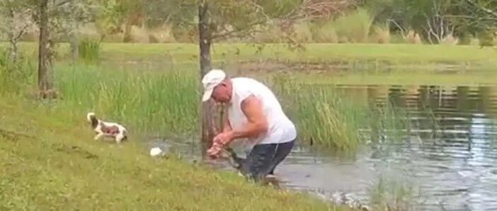 手撕鳄鱼、跳冰窟窿…为救爱犬，这些铲屎官们拼了！