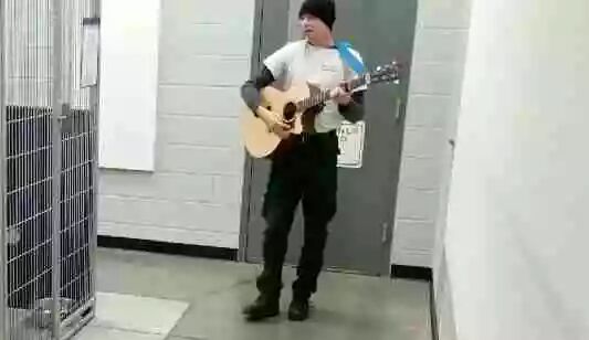 志願者在流浪狗吃飯時，為它們彈琴唱歌！狗狗的反應出乎意料... 寵物 第2張