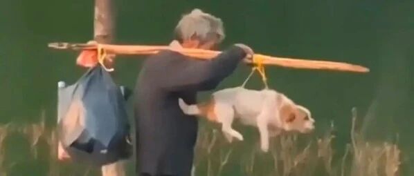 前方高能！爷爷出门遛狗花样频出，厉害啦~