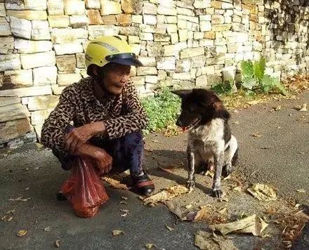 這個阿婆為了流浪動物，居然可以這樣做... 萌寵 第6張