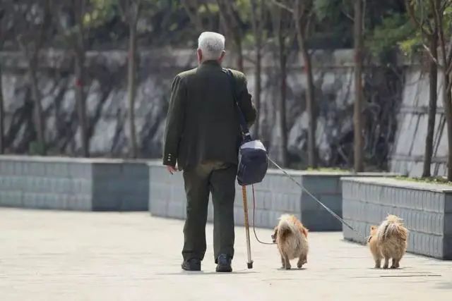 鏟屎官去世前立遺囑，把遺產都給了寵物狗狗… 寵物 第2張