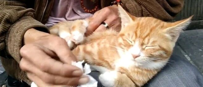 流浪汉与萌宠不离不弃：“有它在，我只是旅行！”