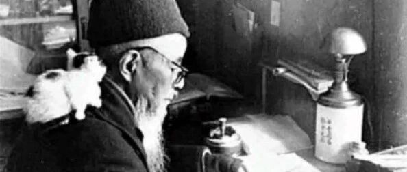 这些大师都是猫奴，真知灼见泽被后世…