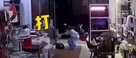 愤怒！女子到宠物店退猫遭拒，竟然暴摔猫咪致死…