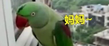 “妈妈，我回来了！”