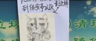 河北一保安小哥贴出猫咪招领启事，配图亮了
