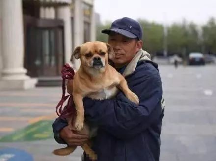 環衛工收養了流浪狗後，為報答收養之恩它...... 萌寵 第10張