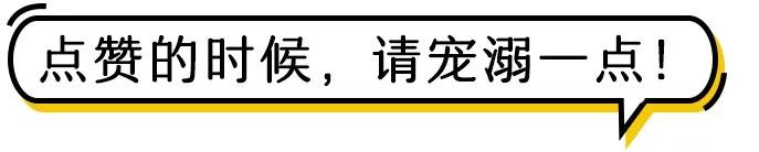 全球最大的柯基，超大型的屁股萌你一臉！ 寵物 第11張