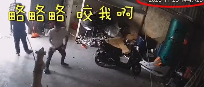 狗子被小伙百般戏耍，越想越气，两次“复仇”…
