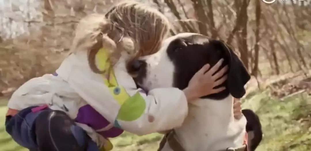 女孩兩年不曾行走，一只「高大兇猛」的狗拯救了她 萌寵 第8張