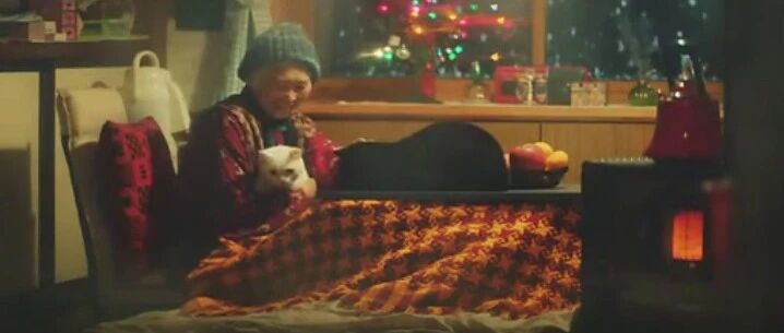 老爷爷去世后，两只猫努力学习，只为逗老奶奶一笑…