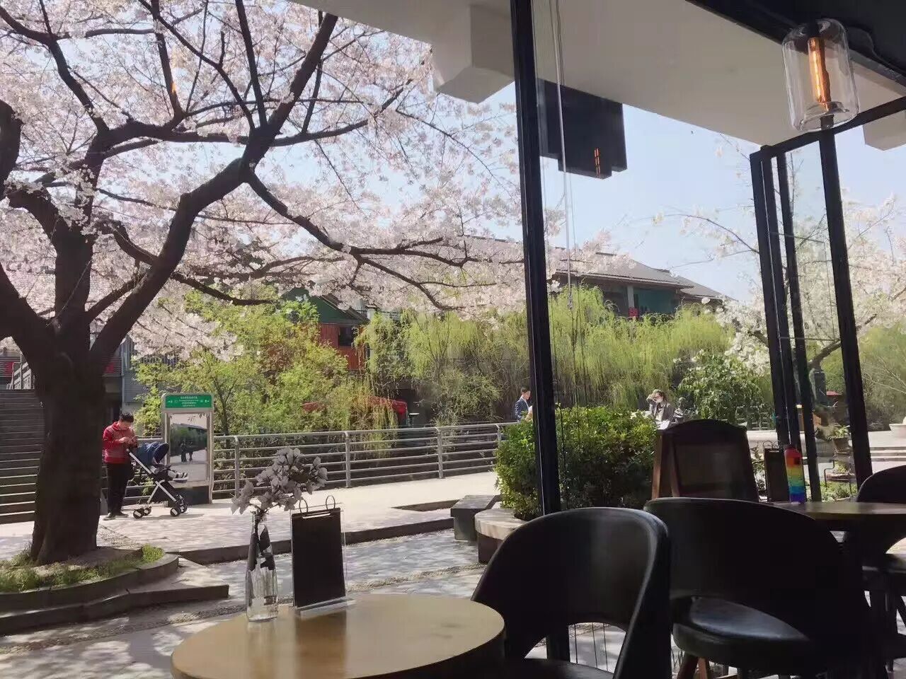 杭城这家守着一颗樱花树的咖啡馆美炸了来自全国的情书都往这里寄