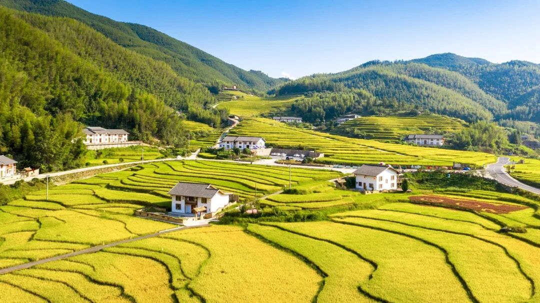 炎炎夏日怎么过?来江西崇义吧,这些主题线路中总"游"您所爱!