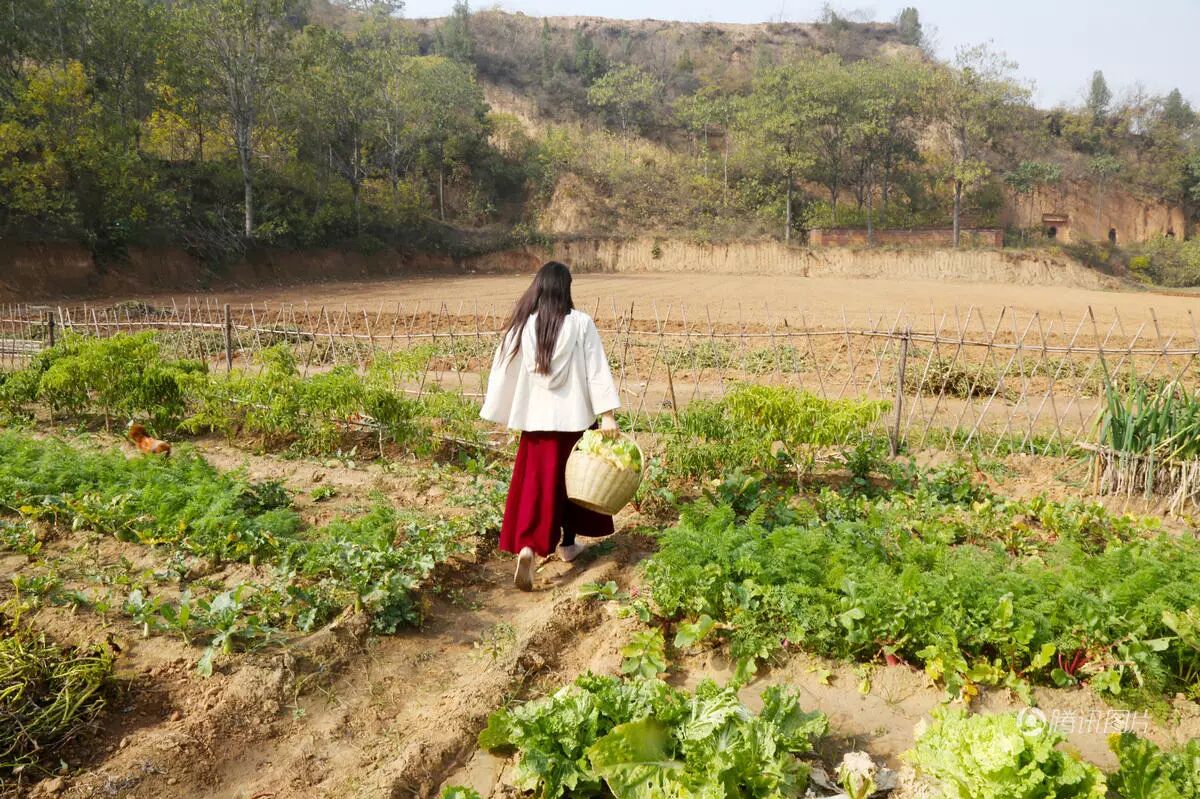 【人物】荥阳住着一位80后美女弃百万豪宅回农村种地住窑洞