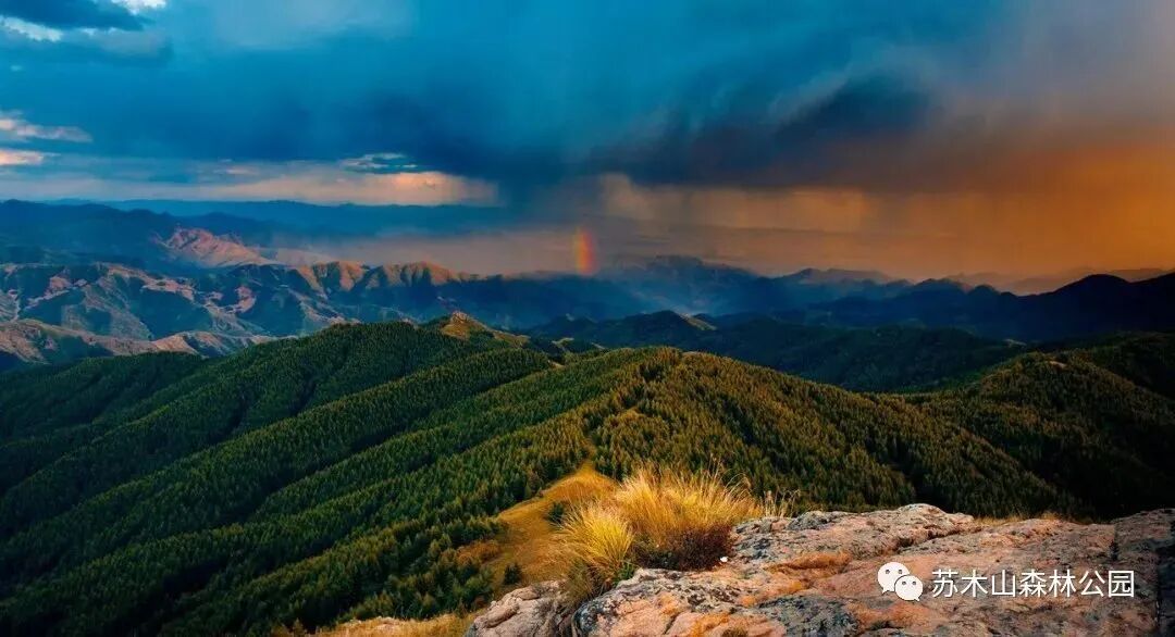 苏木山森林公园(aaaa)