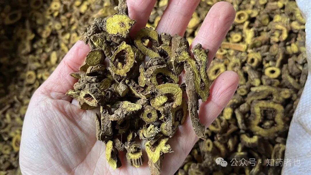 药市访谈：这10味药材可能价格松动