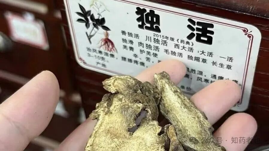 药市游记｜腊月药市，谁在炒作这味祛风湿的中药材？