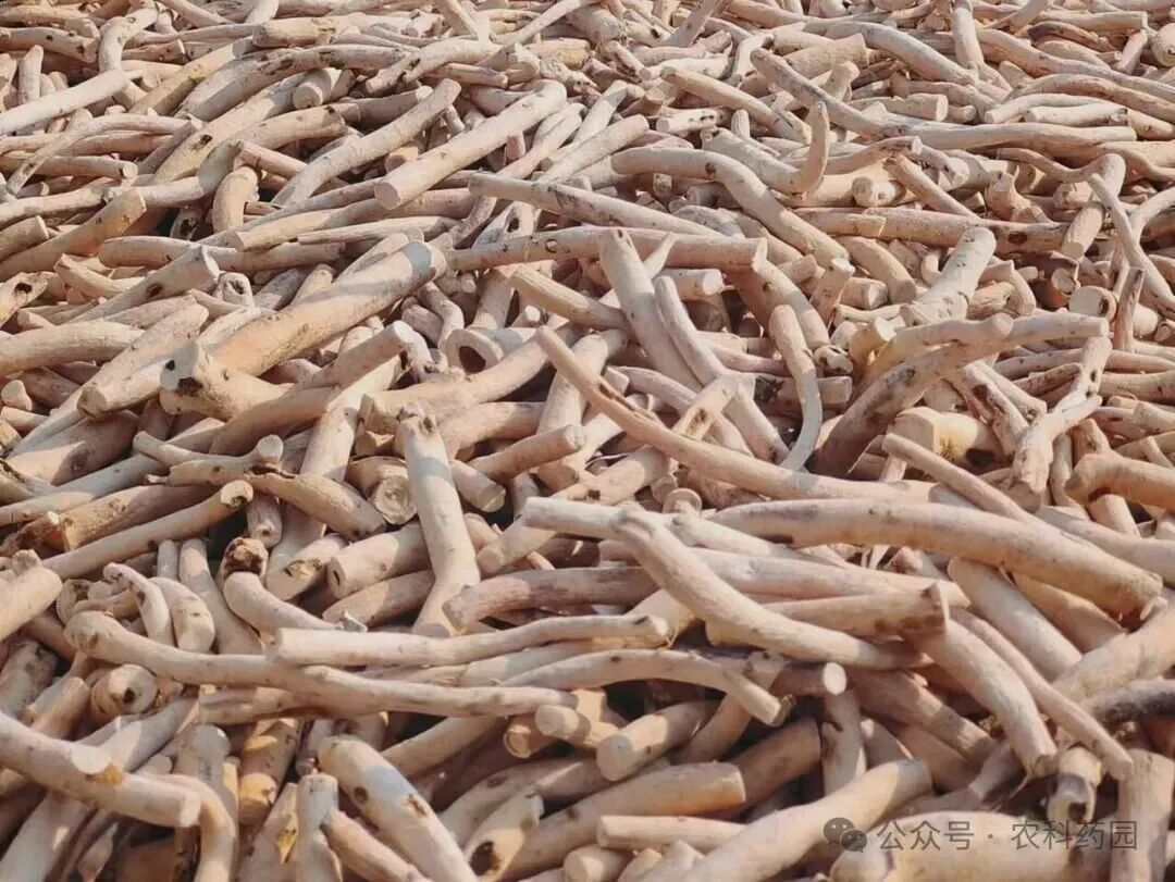 中药材市场行情(12.26)