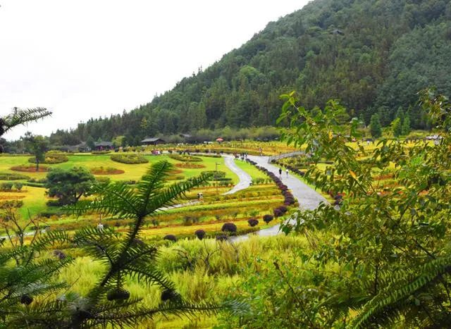 春节腾冲旅游攻略