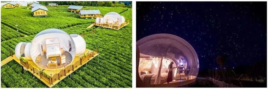 一叶千春：茶的密码（下 ）(图9)