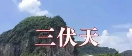 2020三伏時間表!最易生病的40天快來了,不論男女都要這樣做! 健康 第1張-尋夢健康 2020三伏時間表!最易生病的40天快來了,不論男女都要這樣做! 健康 第1張