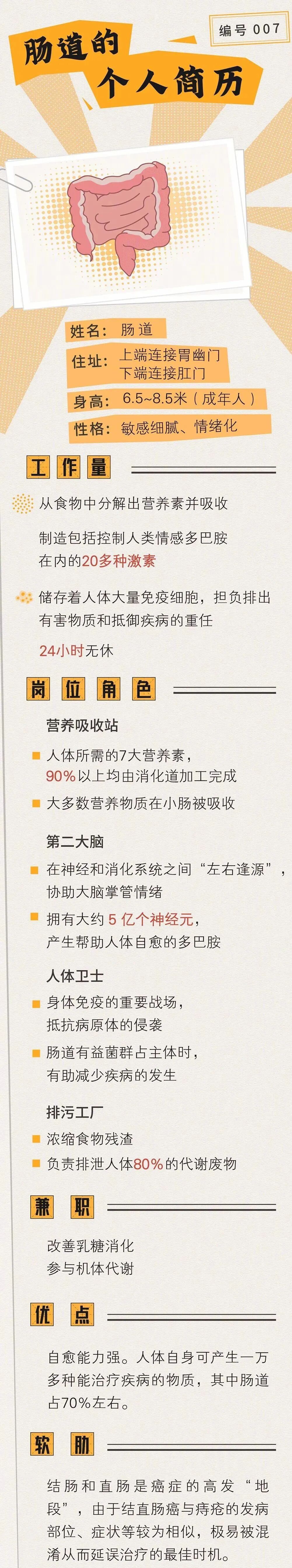 原來(lái)腸道是情緒器官