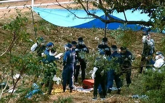 行李箱里发现白骨化腐败女尸呈抱膝状 有中国籍身份证 法制天下 微信公众号文章阅读 Wemp