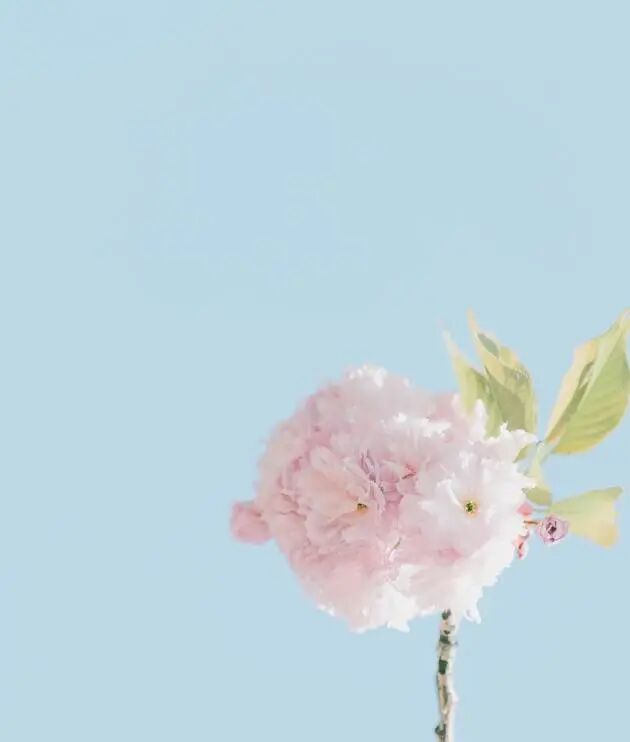 成都顾连锦宸康复医院端午节患者活动