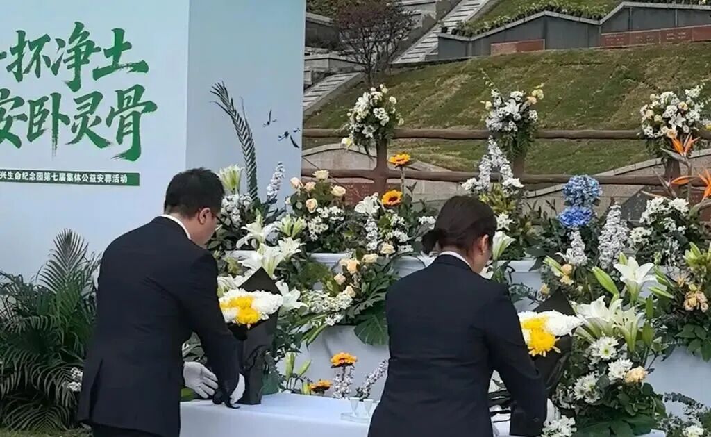 清明祭扫现场。第1眼TV-华龙网记者 李舒  摄