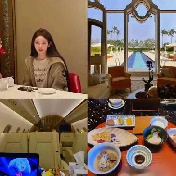王思聪近况引热议,携女友国外购物,私人飞机出行显悠闲