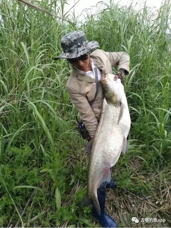 平潭特種水產養殖交流組