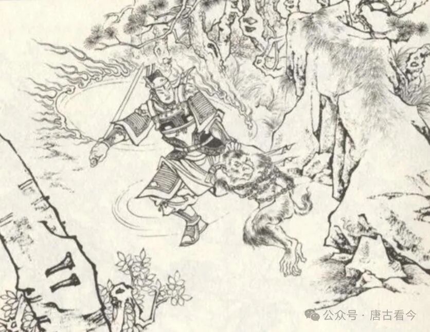 袁洪和孙悟空