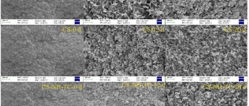 cover_image