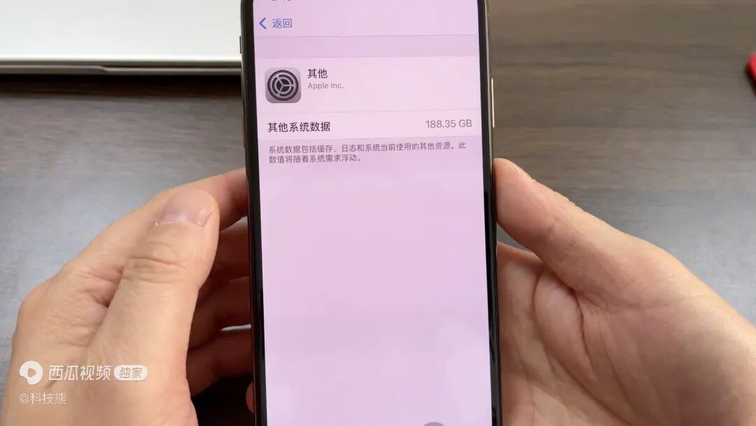 iphone自带垃圾清理_自带清理垃圾苹果手机能用吗_苹果手机自带清理垃圾在哪里