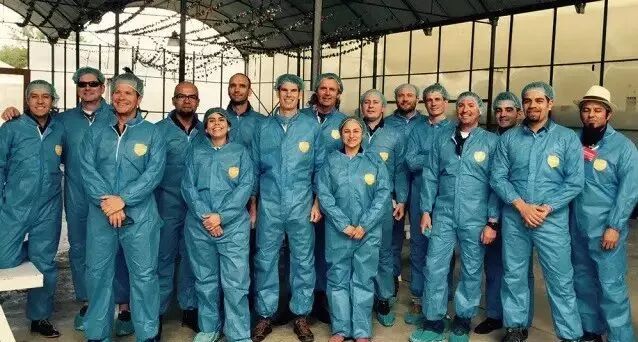 这也是科伯特在蜂王养殖这方面的很关键的核心技术