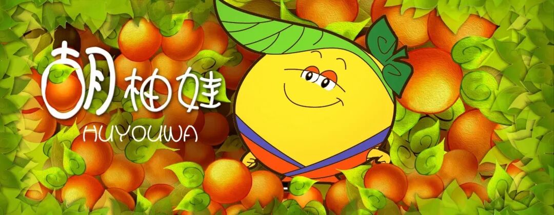 常山胡柚果真有用