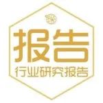 2021年中国卫星互联网行业研究报告