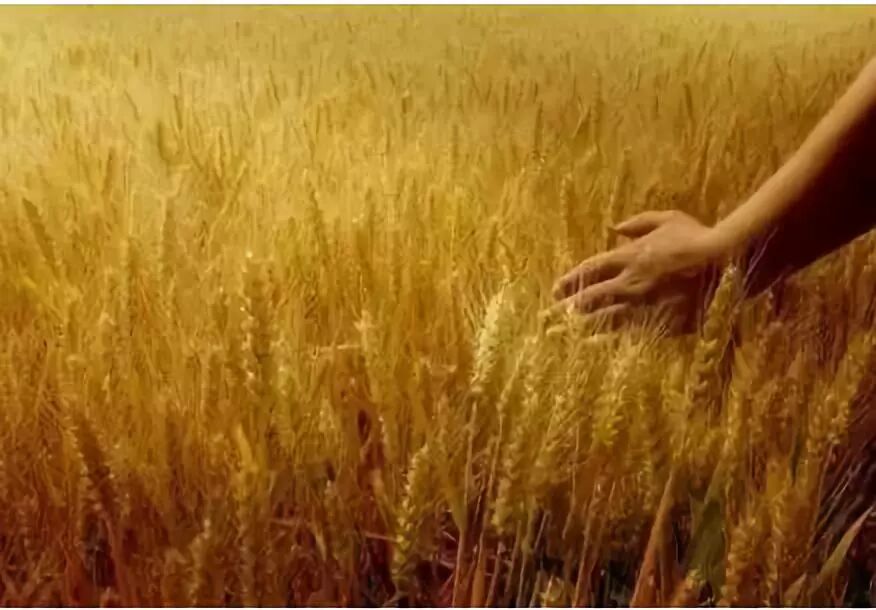 640?wx_fmt=jpeg&tp=webp&wxfrom=5&wx_lazy=1&wx_co=1